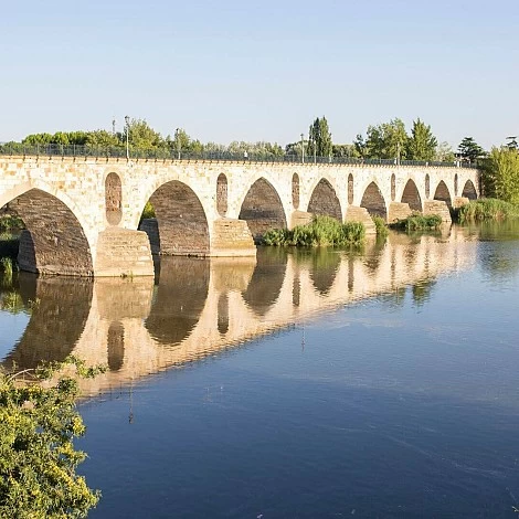 4. A walk along the Douro River and the Stone Bridge