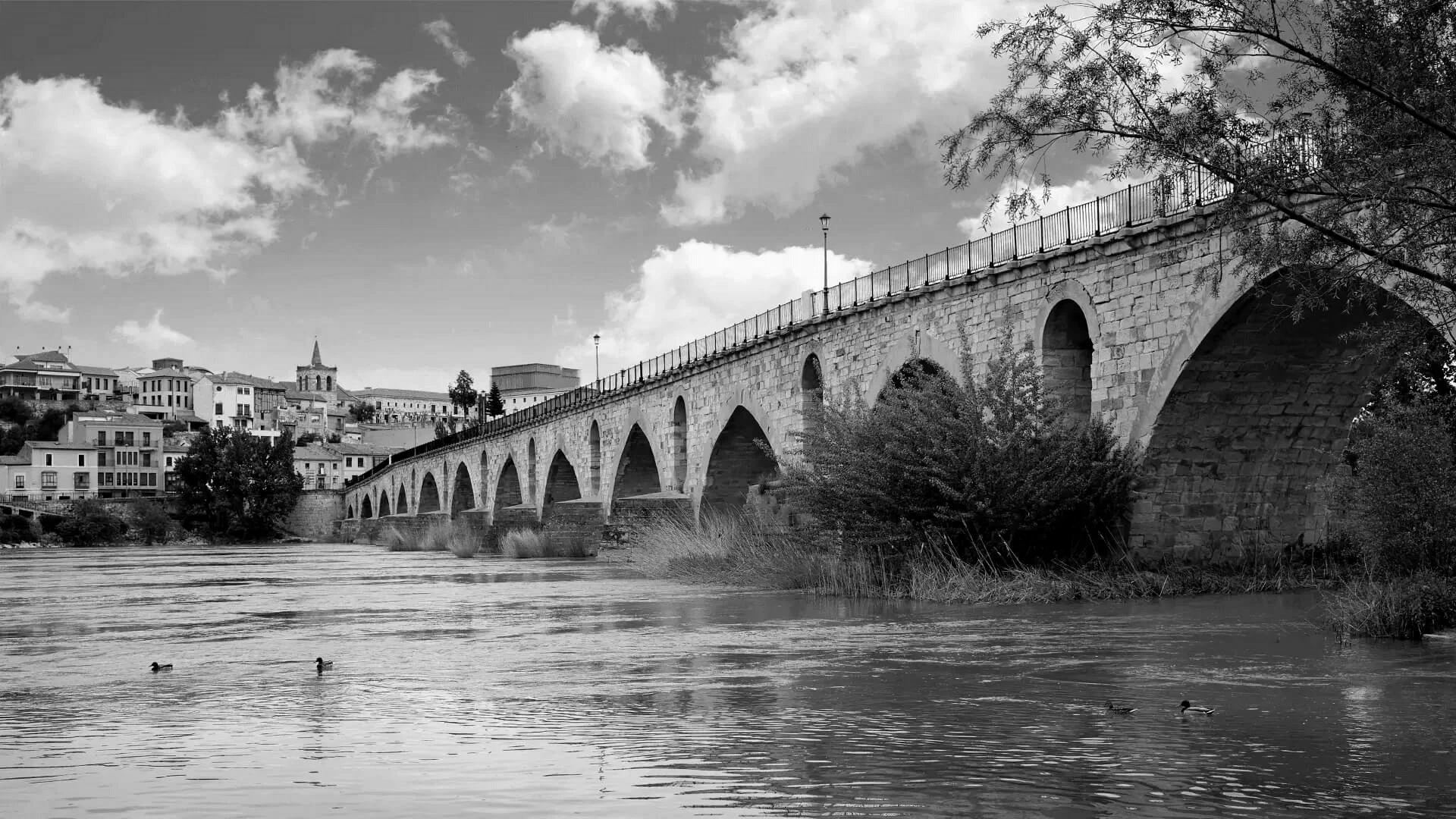 Puente de Piedra Románico de Zamora	